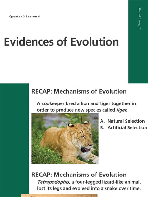 Q3 Lesson 4 Evidencesof Evolution | PDF | Evolution | Natural Selection 