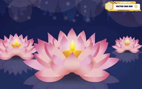 +999 hình ảnh hoa sen đẹp| Tải miễn phí hoa sen Vector & PNG 