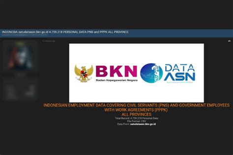 BKN Gaet BSSN Kemenkominfo Investigasi Kebocoran Data ASN