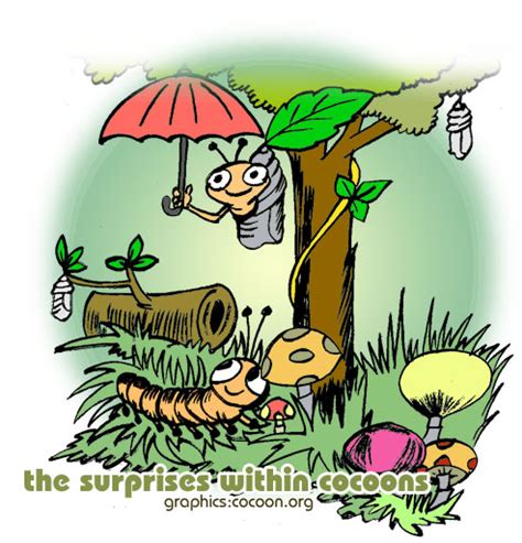 Surprises Within Cocoons | Cocoon Articles and Butterfly Life Cycle