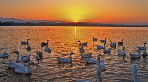 Sukhna Lake Chandigarh India Heroes Of Adventure