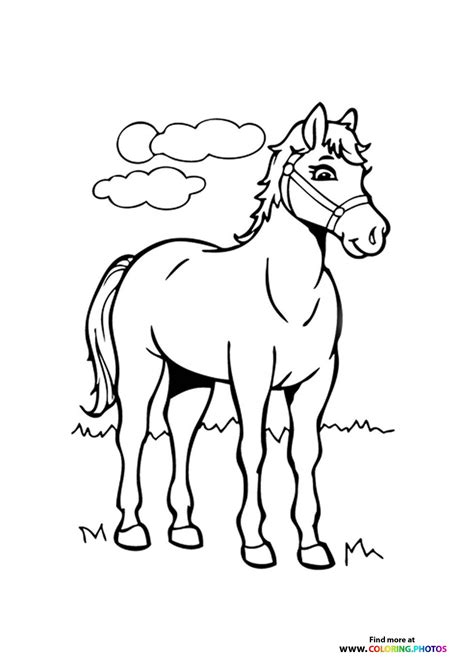 Фото Раскраски Лошадей — Softforoneyou.ru