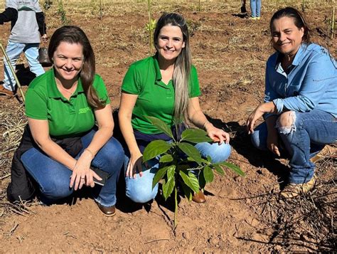 Reflorestamento Das Nascentes Da Fazenda Botelho Em Santa Cruz Do Rio