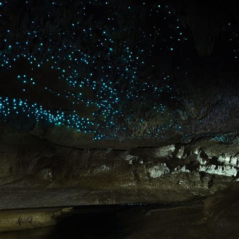 Waitomo Caves | New Zealand | She is Wanderlust Blog