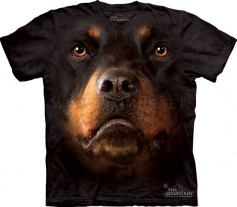 Animals on T-Shirts | Fun