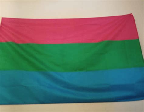 Fly Breeze 3x5 Foot Polysexual Pride Flag Anley Flags