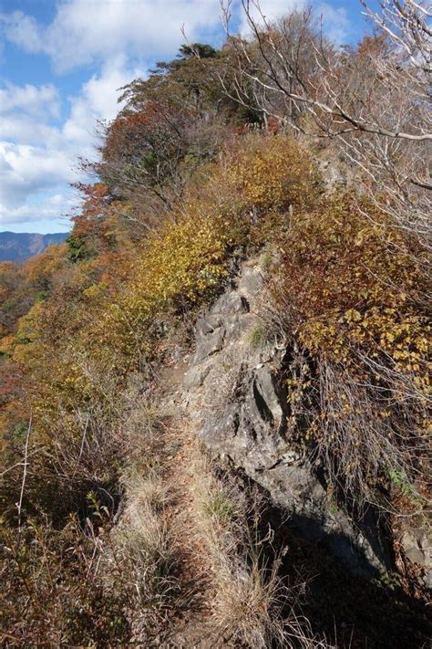 神奈川県のご当地アルプス「相州アルプス」｜トレッキング倶楽部