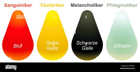 Sanguine, choleric, melancholic, phlegmatic - the four temperaments ...