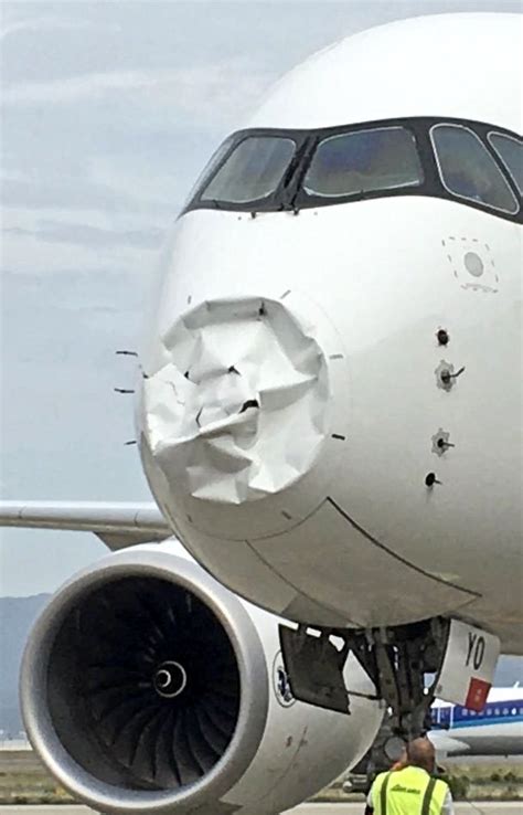 Air France Airbus A350 Damage by Bird; Forced to Make an Emergency ...