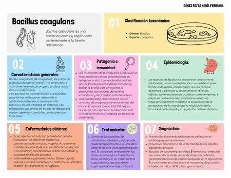 Bacillus Coagulans Fernanda G Mez Udocz