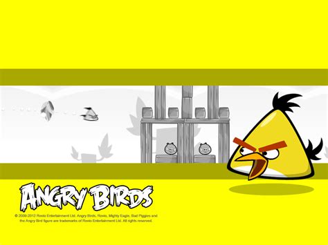 Chuck - Angry Birds Wiki