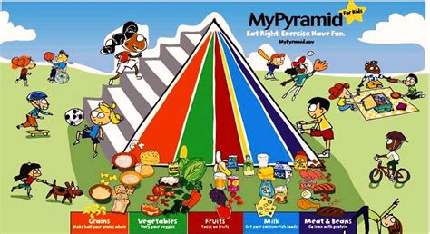 food pyramid for kids figure | Anatomy System - Human Body Anatomy diagram and chart images