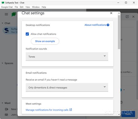 Google Chat Desktop - Download - Softpedia 
