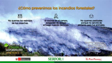 Repositorio Institucional del SERFOR Cómo prevenimos los incendios