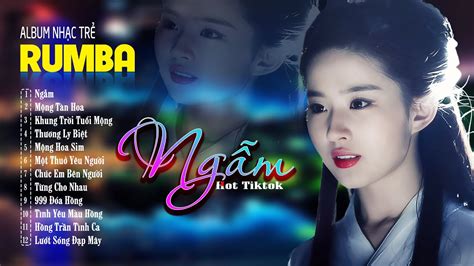 NGẪM MỘNG TÀN HOA MỘNG HOA SIM ALBUM RUMBA 8x9x Hot Tiktok LK Nhạc Trẻ Rumba Đặc Biệt