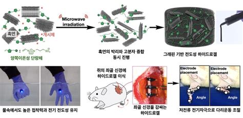 몸속에서도 전기 통하는 전도성 하이드로겔 개발