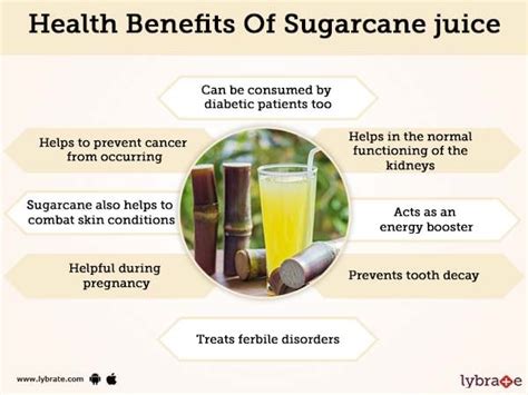 Sugarcane Nutrition Facts 100g Besto Blog