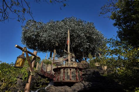 La Cabane Des Robinson En Disneyland Paris