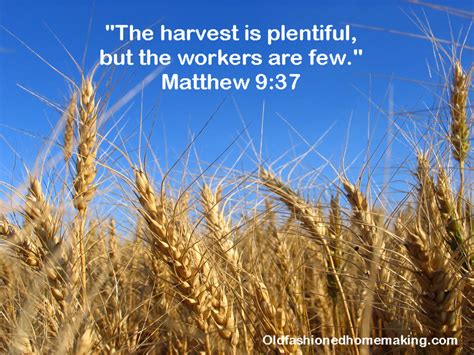 Bible Quotes About Harvest. QuotesGram