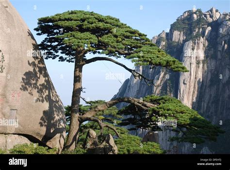 Chinas Anhui Province In Huangshan Mountain Scenery The Famous