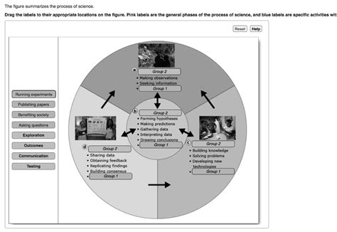 Drag The Labels To The Appropriate Locations In This Diagram Kennedynairn