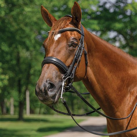 Schneiders® Ergonomic Monocrown Dressage Double Bridle With Crank