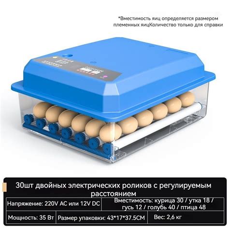 Бытовой небольшой инкубатор для вылупления цыплят, обычных цыплят ...