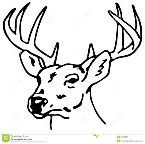 Drawing Of A Reindeer /eps stock vector. Image of shape ... Reindeer ...