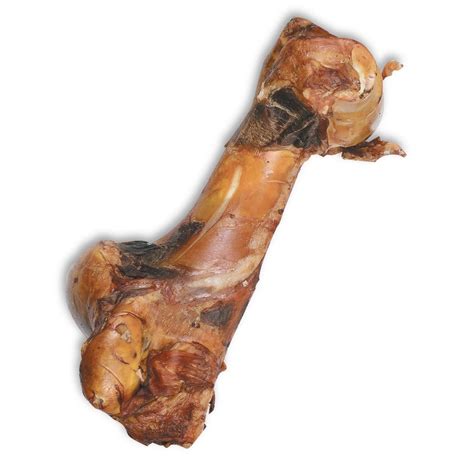 Big Marrow Bone Antos