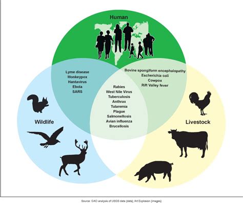 Zoonotic Infectious Diseases Local Origins Global Consequences