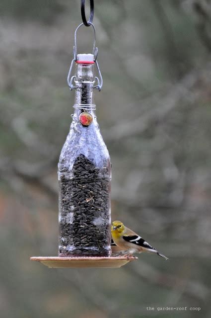 Bird In Everything: Goldfinch Birdhouse Plans