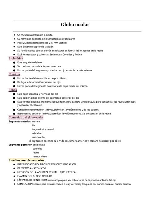 Resumen De Todo Oftalmo Globo Ocular Se Encuentra Dentro De La Rbita