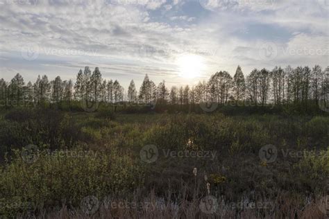 Twilight landscape, forest 9656728 Stock Photo at Vecteezy