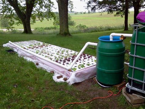 Swirl Filter And Floating Raft Aquaponics Backyard Aquaponics