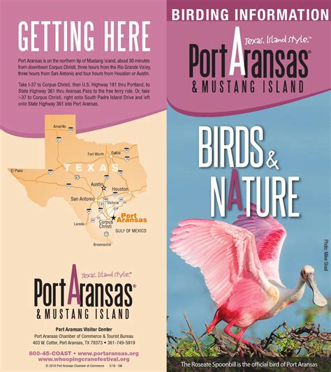 Port Aransas, Texas ~ Birding & Nature Brochure by Port Aransas, Texas ...