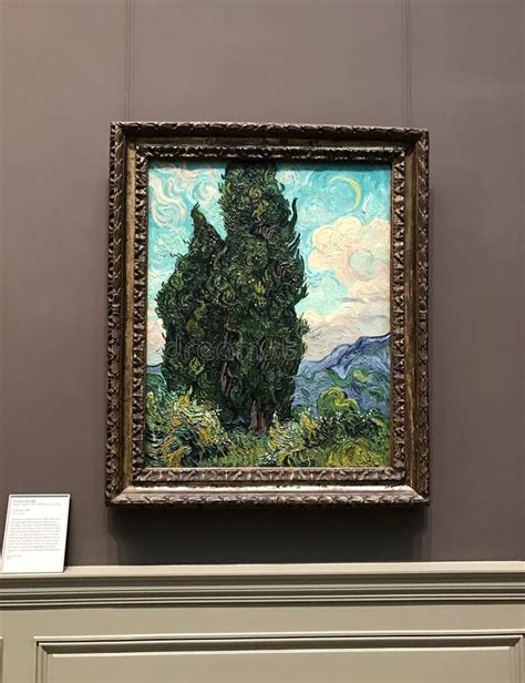 Ciprestes De Vincent Van Gogh No Museu Metropolitano De Arte Nova