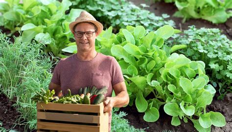 The Fastest Growing Vegetables According To An Expert Abmeyerwood