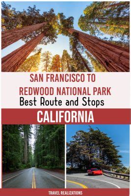 San Francisco to Redwood National Park Road Trip: Best Route, Stops ...