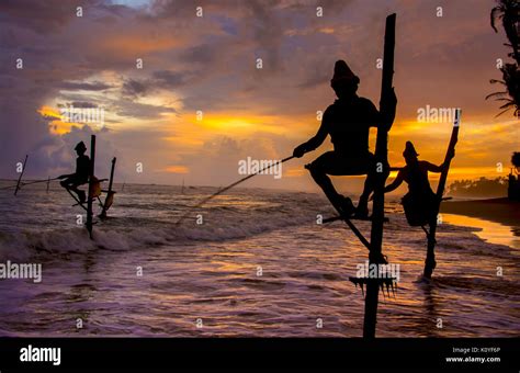 Las Siluetas De Los Pescadores Tradicionales De Sri Lanka Zancudos