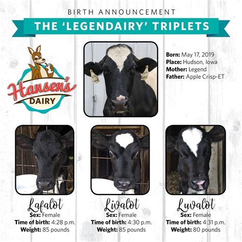 UPDATE: We selected triplet names! - Hansen Dairy