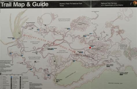 Mystery Flesh Pit National Park Trail Map And Guide In 2022 Park Trails Trail Maps