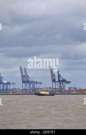 Tug Boat Svitzer Shotley At Work In The Port Of Felixstowe Stock Photo