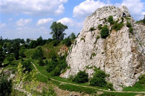 Rezerwat Przyrody Kadzielnia Kielce Miaster Pl