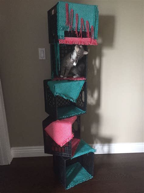 Diy Cat Tree Under 25 Place Mats Zip Ties And Milk Crates Diy