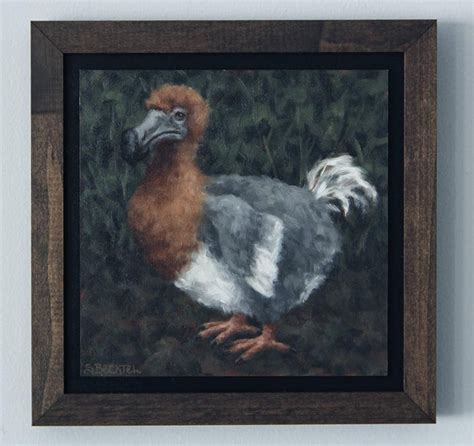 Dodo Bird Original Oil Painting With Frame by Sarah Becktel | Etsy