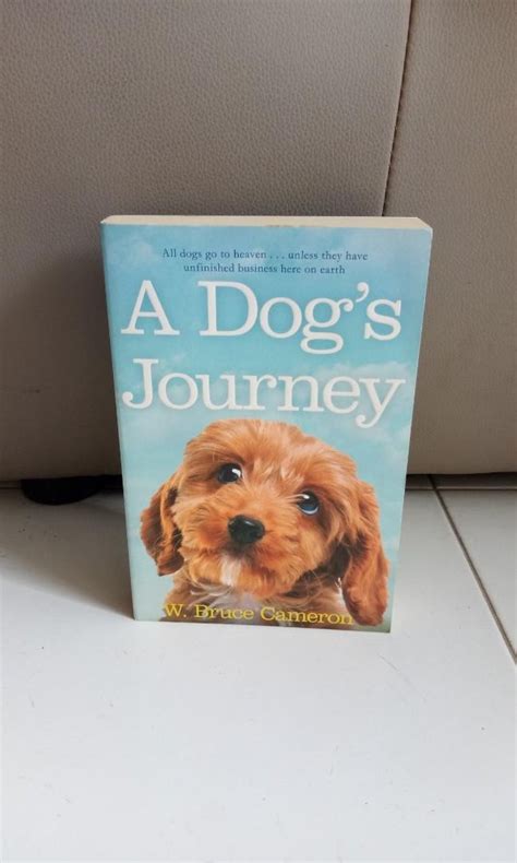 A Dog's Journey story book by W. Bruce Cemeron, Hobbies & Toys, Books ...