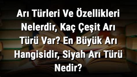 Arı Türleri Ve Özellikleri Nelerdir Kaç Çeşit Arı Türü Var En Büyük