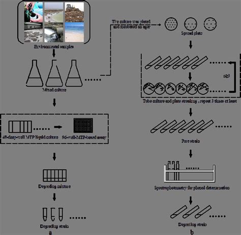 An Integrated Procedure For High Throughput Screening A