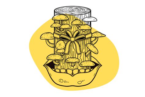 A Trip To The Bedroom The Impact Of Psychedelic Shrooms On Sex Tripsitter