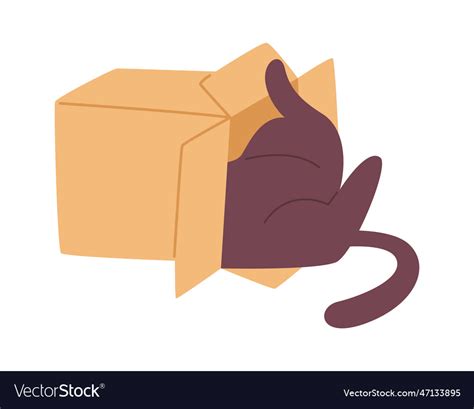 Cat playing in box Royalty Free Vector Image - VectorStock